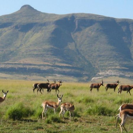 Moolmanshoek Private Game Reserve Hotel Ficksburg Εξωτερικό φωτογραφία